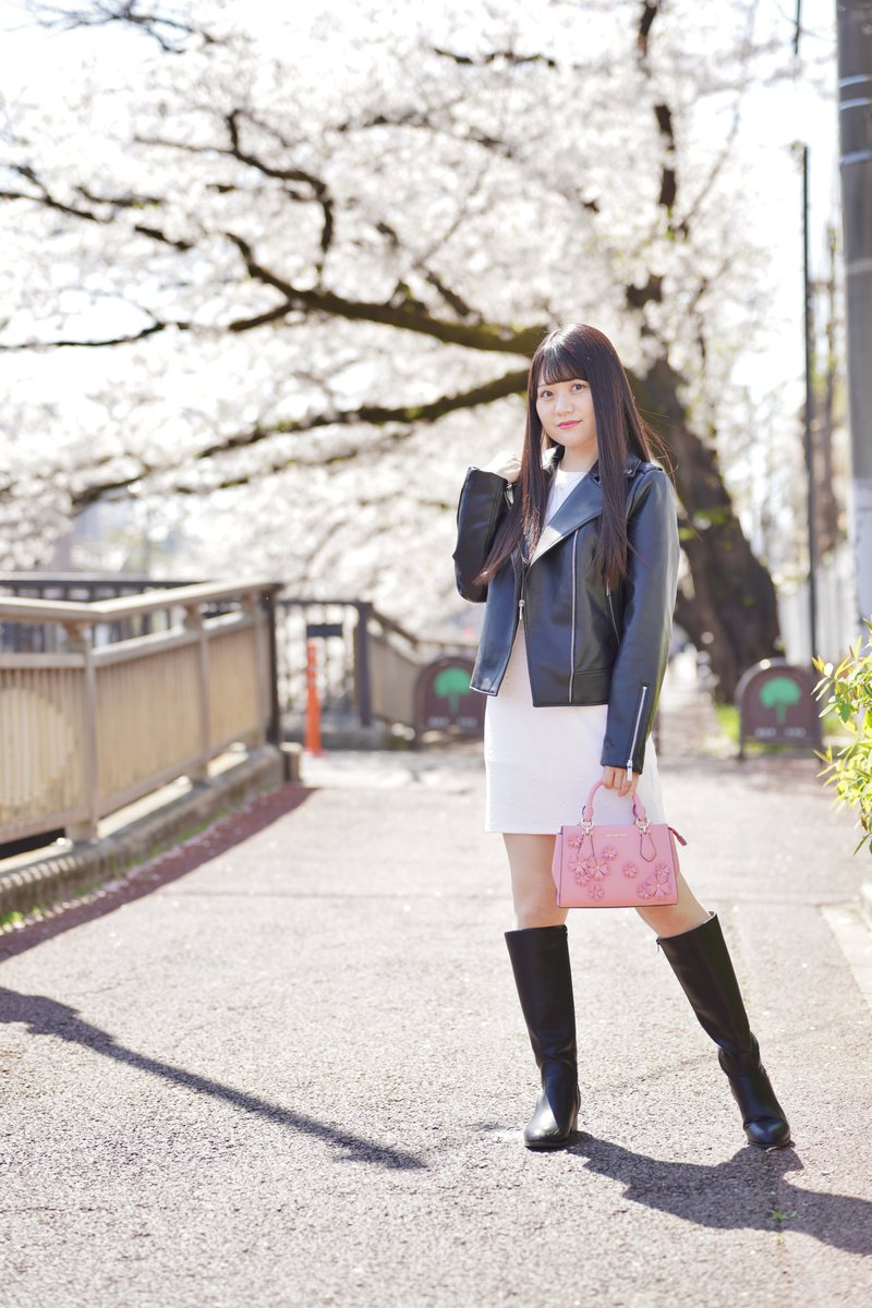 Great Shige 🐘🐘 tweet media