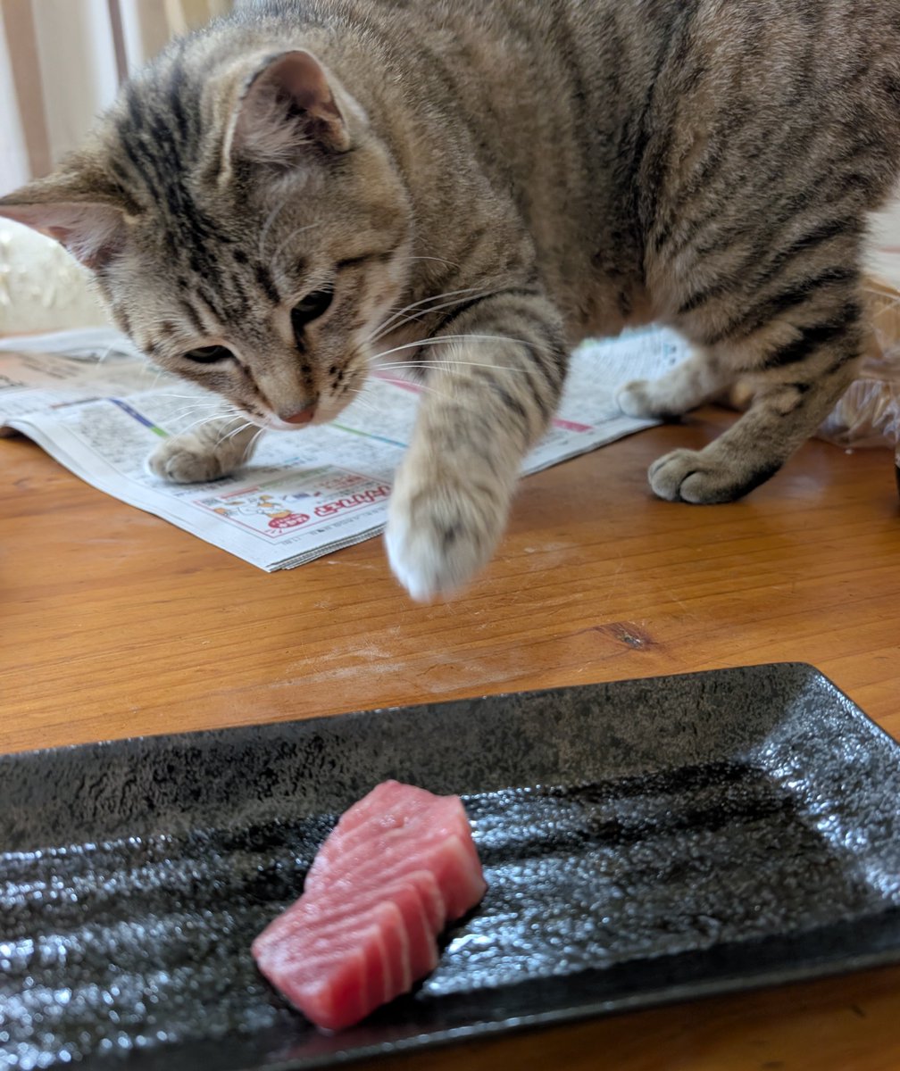 アヴェマナヴ tweet media