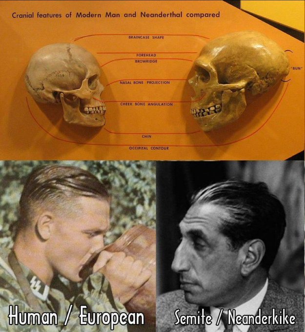 RealJustinLewis tweet media