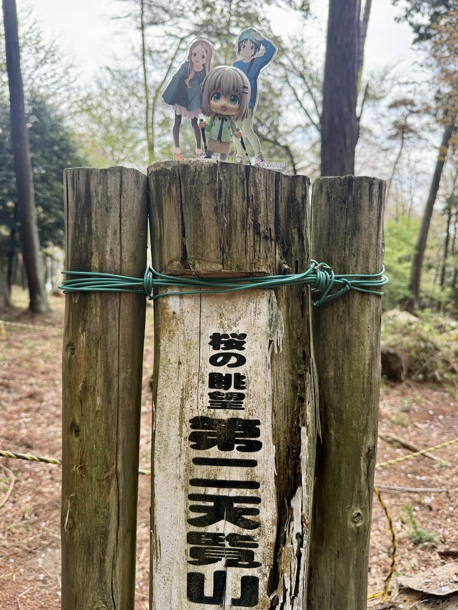 ricecake tweet media