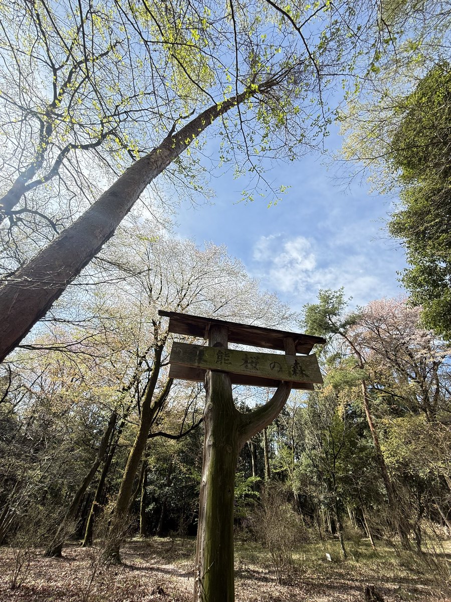 ricecake tweet media