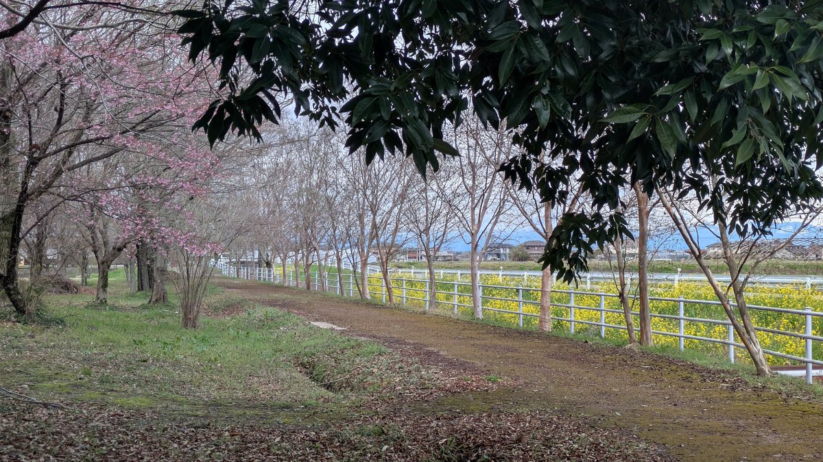 made_by_KRT's tweet photo. 白沢公園🏞 https://t.co/7M9093S5Uy