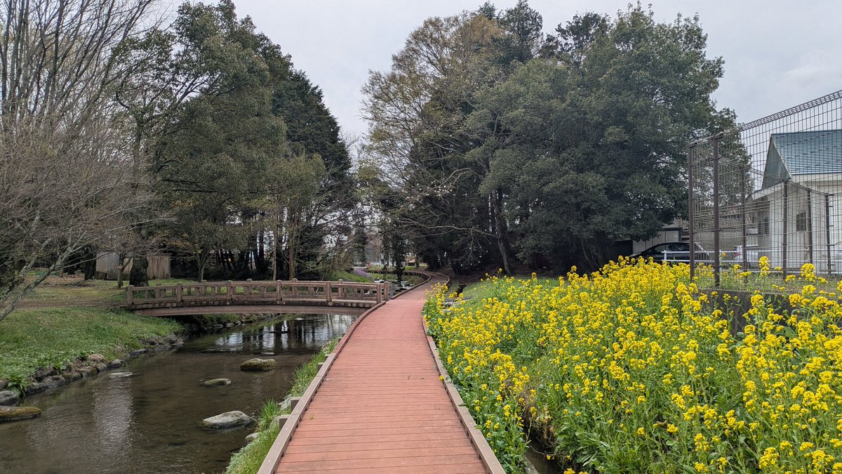 made_by_KRT's tweet photo. 白沢公園🏞 https://t.co/7M9093S5Uy