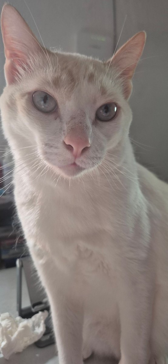 OMG | DYn 👾 tweet media