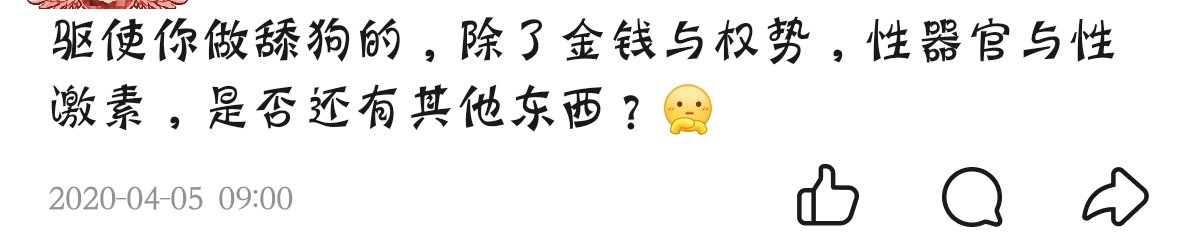 大狐帝国史官邹智萱（笔名段歌文） tweet media