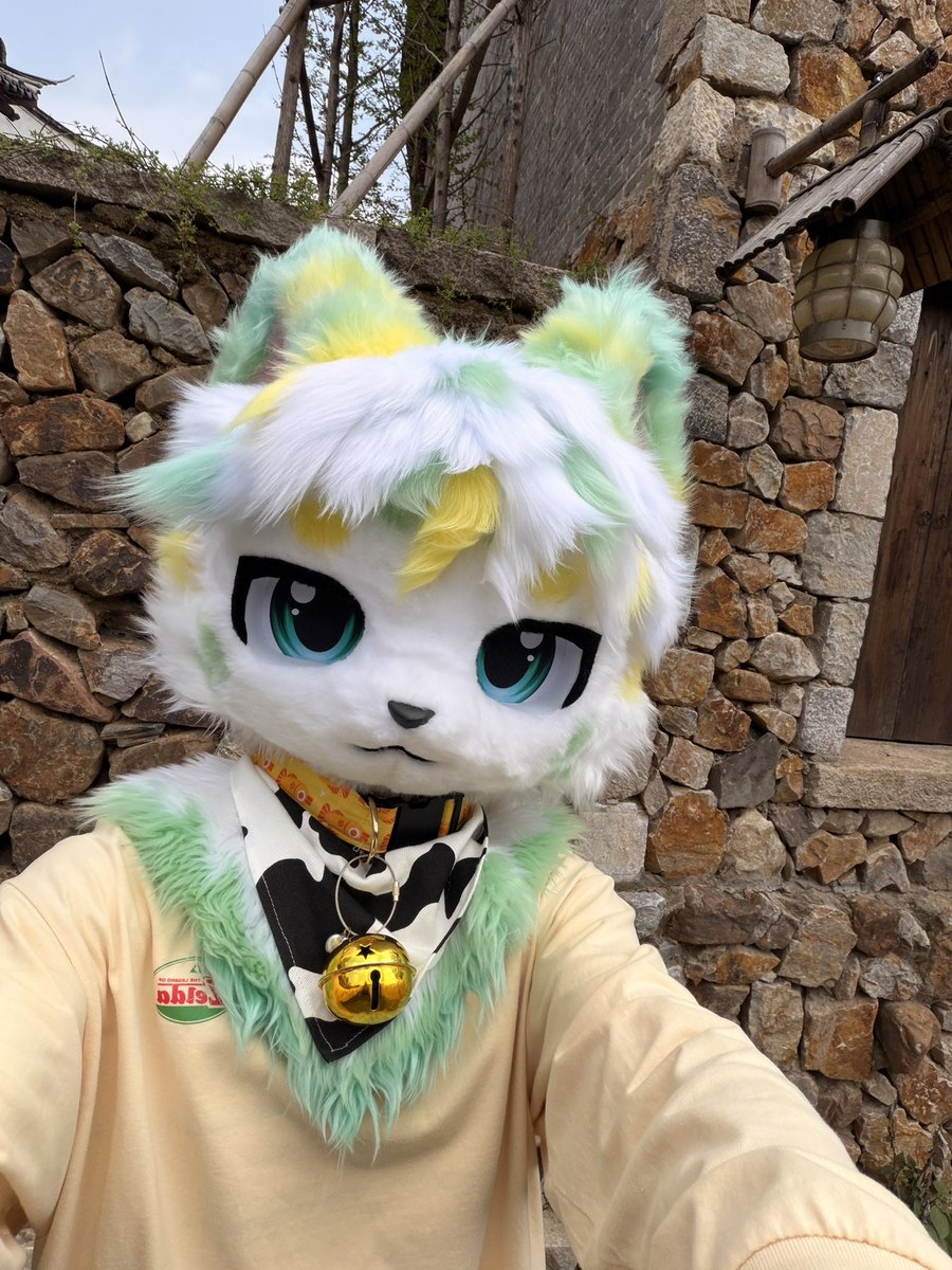 緑酒ﾘｮｸｼｭ🍵 tweet media