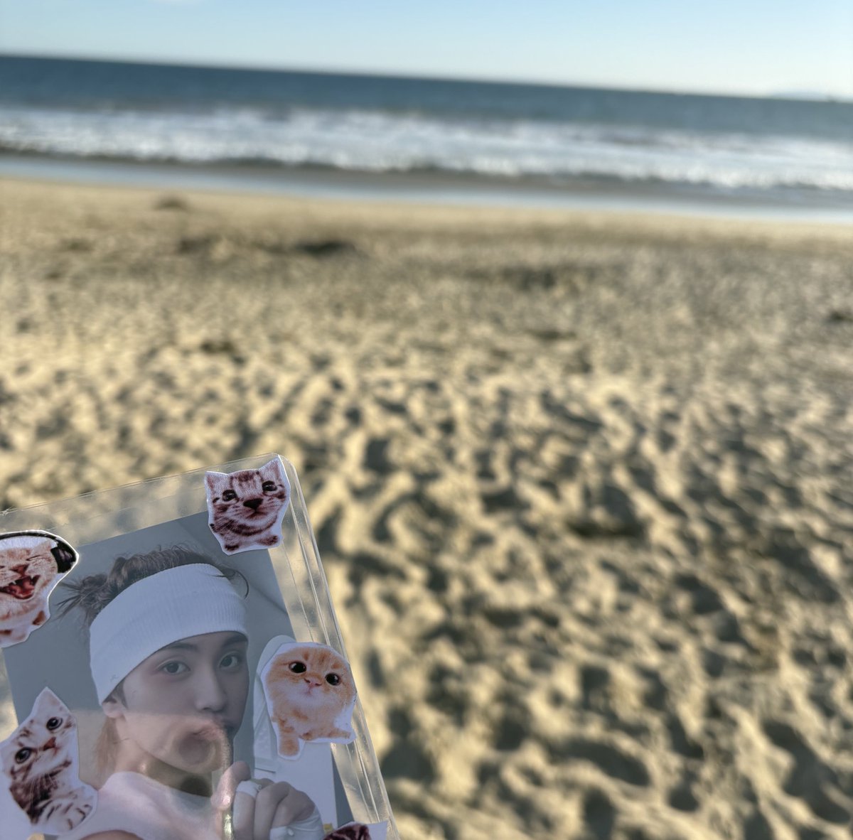 frank ocean tweet media