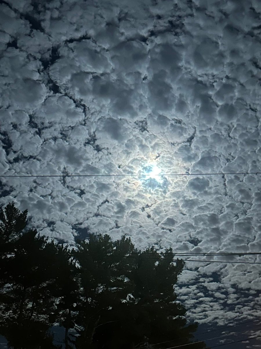 VinchGenix tweet media