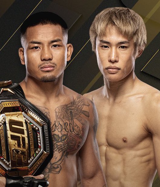 ファイトメモリー | Fight Memory tweet media