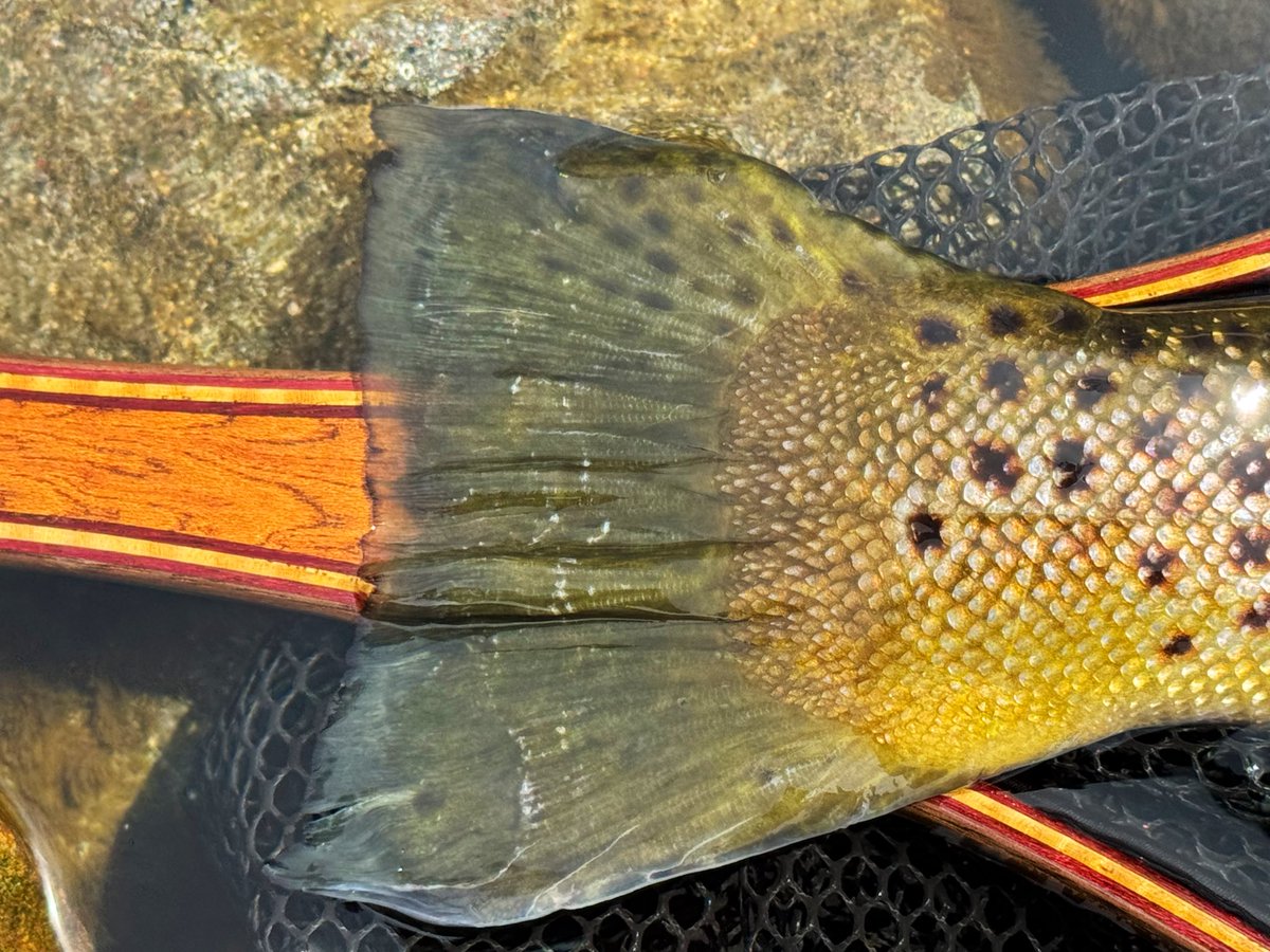 Masa-martin2-17 tweet media