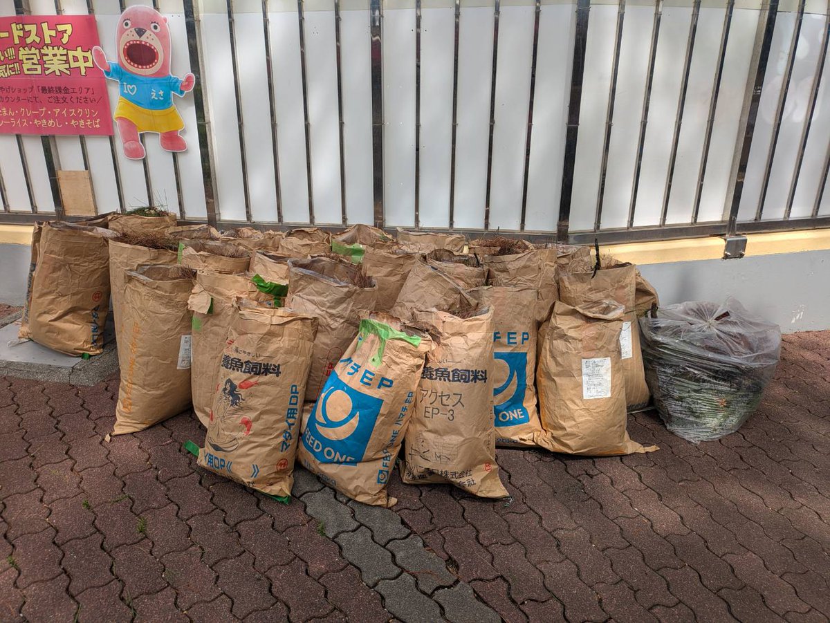 桂浜水族館 公式 tweet media