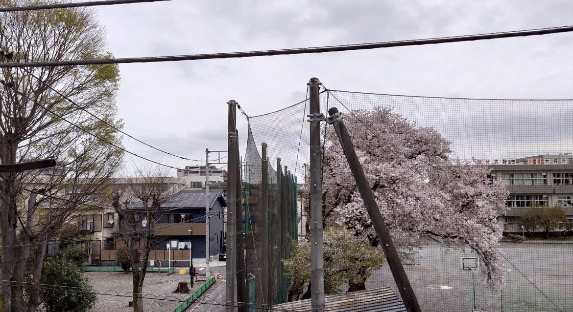 あかり@横浜 tweet media