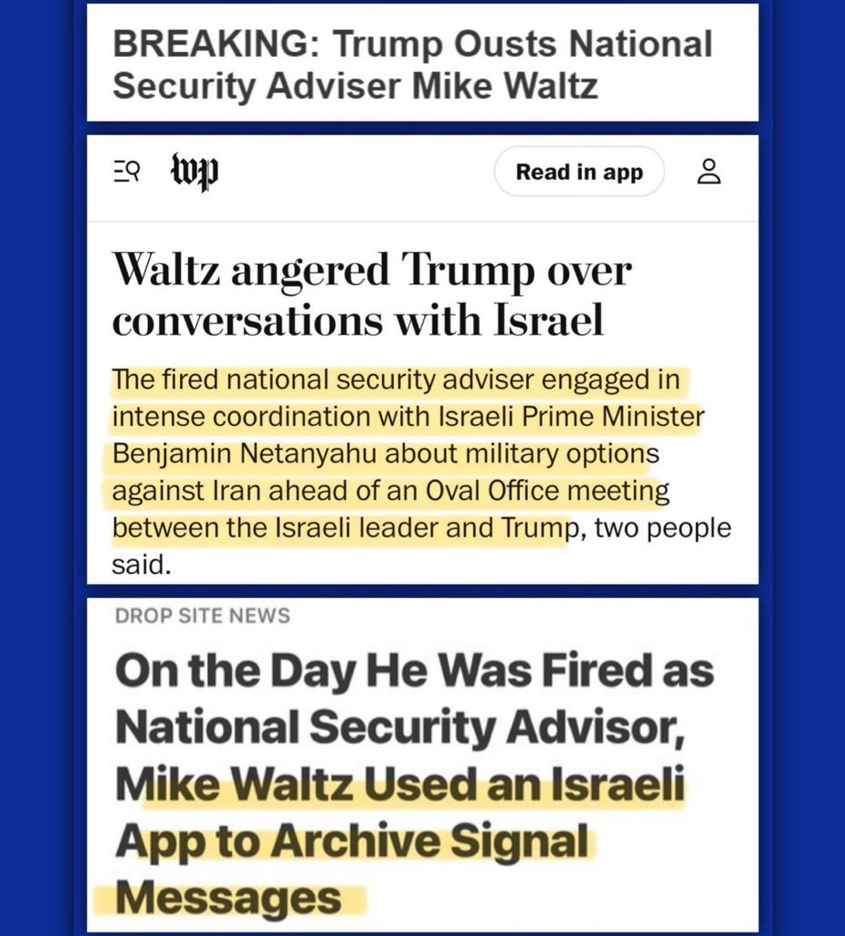 Amira Dalton 🇺🇸 tweet media