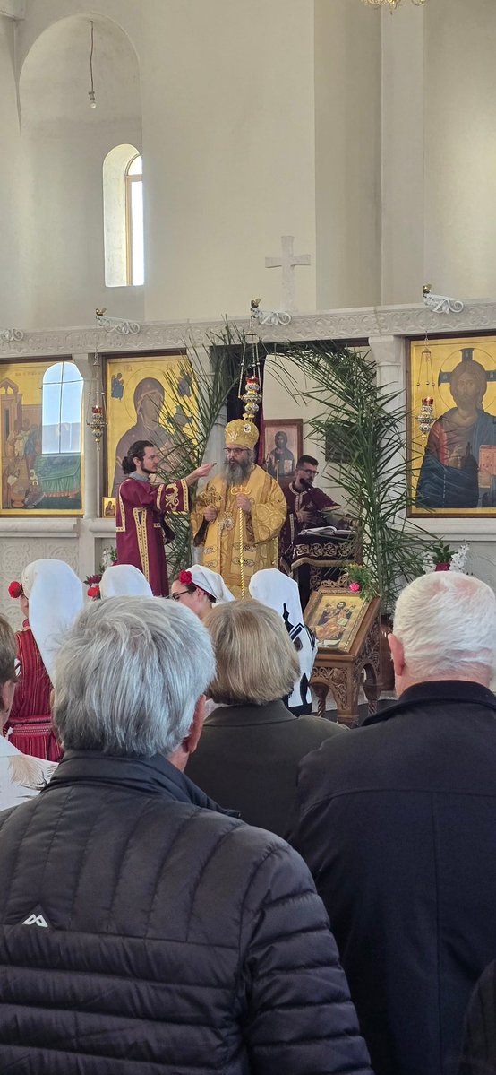 SITREP 🇦🇺 | Intel for Everything 🌐 tweet media