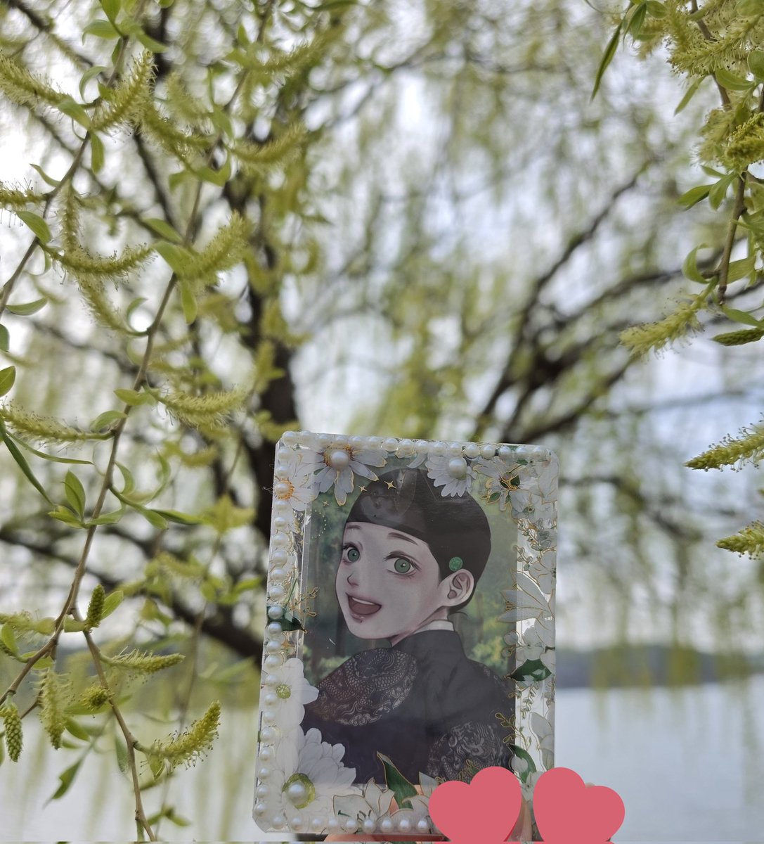 댕댕요 tweet media