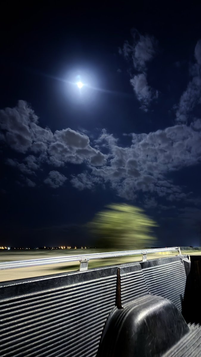 يامايس القد حررني من  ..  أوجاعي 
لي عين مهما تشوف الحزن ماتدمع

أضمى لصوتٍ يشجعني على ابداعي 
وآحب شَعْرٍ على ضو القمر  ..  يلمع 

مجدولٍ اليا انتثر ، صيفي ومرباعي 
يروح  ثلثين  ليلك   تنثر  ..  وتجمع 

جيتك بعاتب ..  وقلت ان مالها داعي
ما لـ العتب فايدة لا صرت ، ماتسمع ..