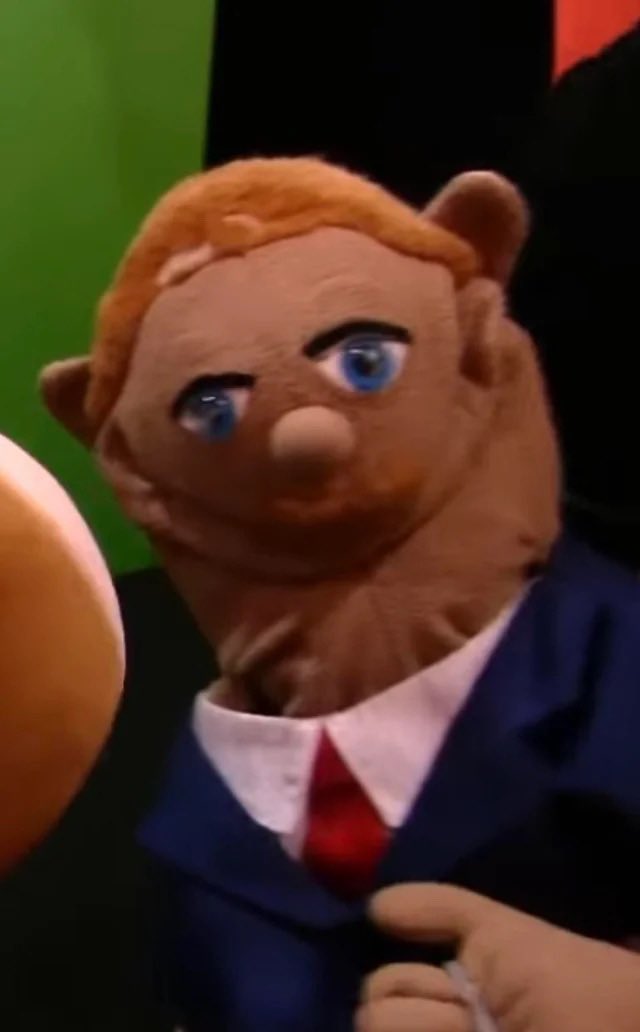 RareExoticBird tweet media