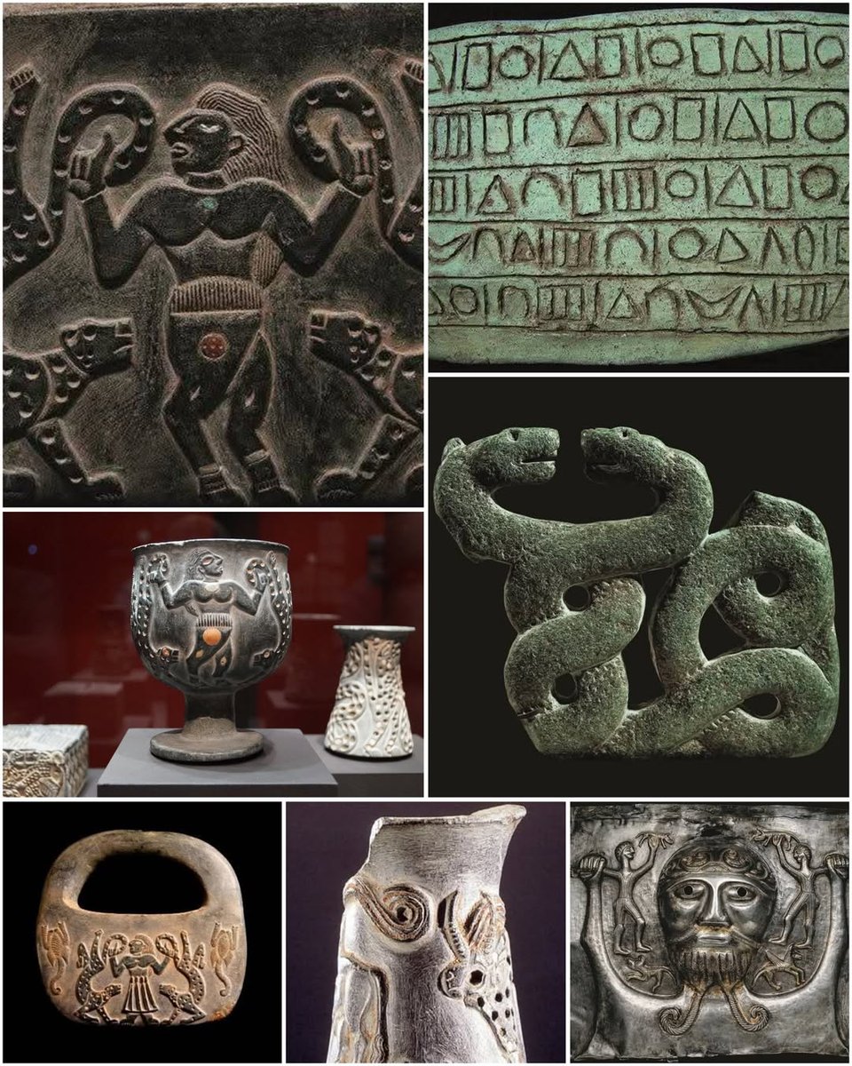 Christian Nader tweet media