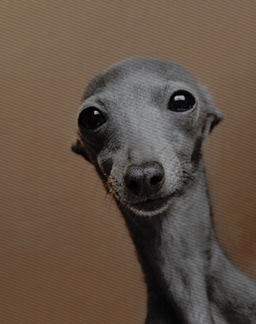 ᅠꮃꭺꭹɴꭼ, ꮓꭺꮯ. tweet media