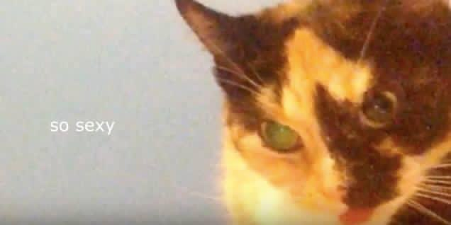 アルダン tweet media