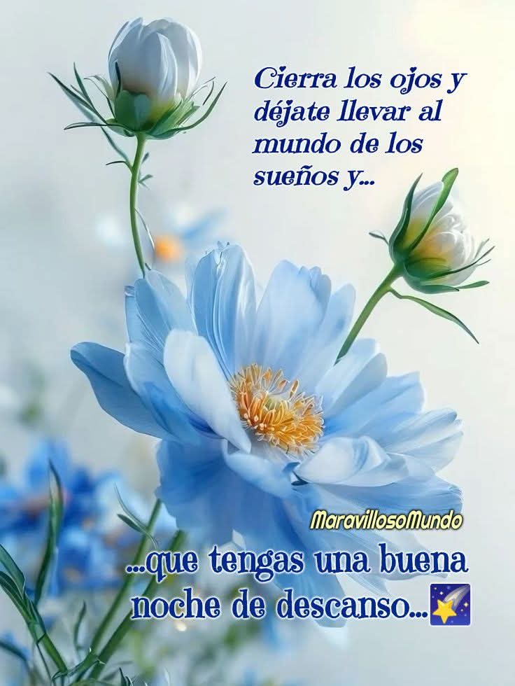 Magdalena tweet media