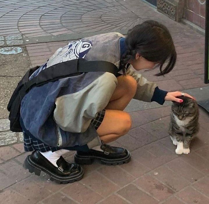 🌷 shanaya tweet media