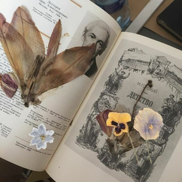 🌷 shanaya tweet media