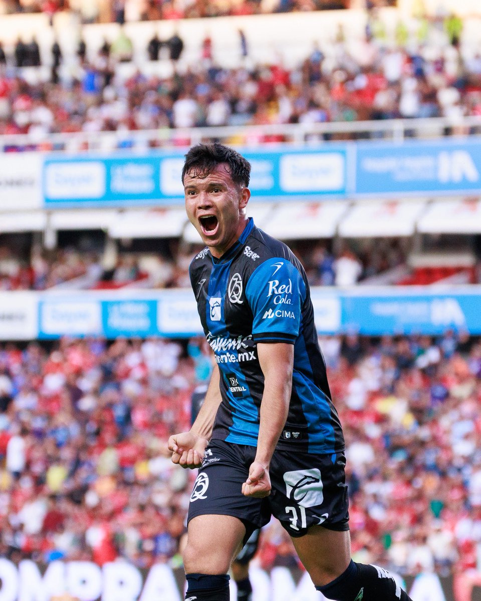 La Previa Del Gallo tweet media