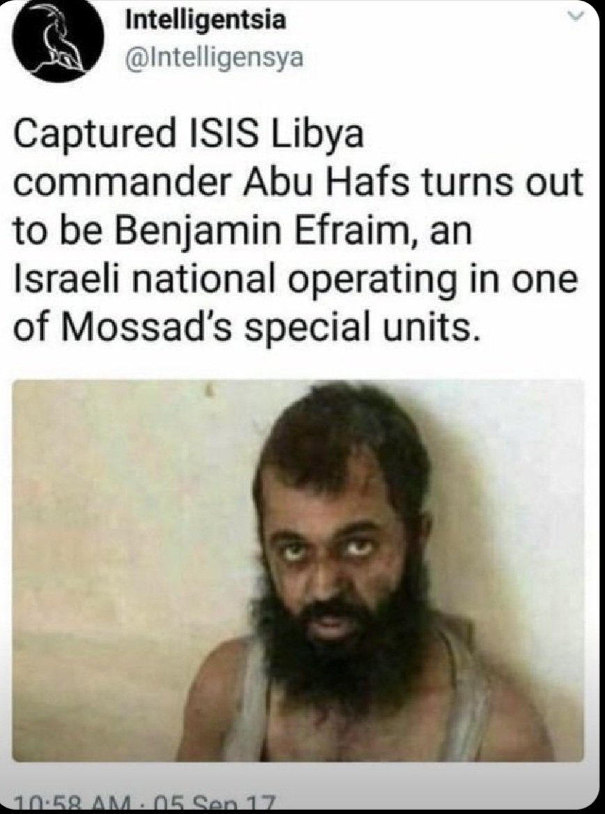 Thrash77 tweet media