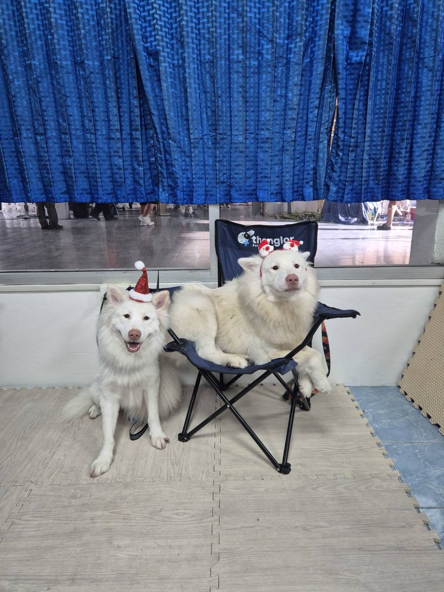 เด็กติดหนัง tweet media