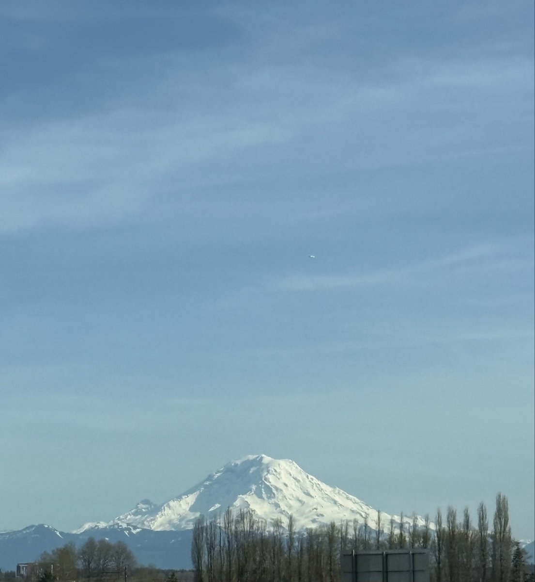 Maribeth Gentry tweet media