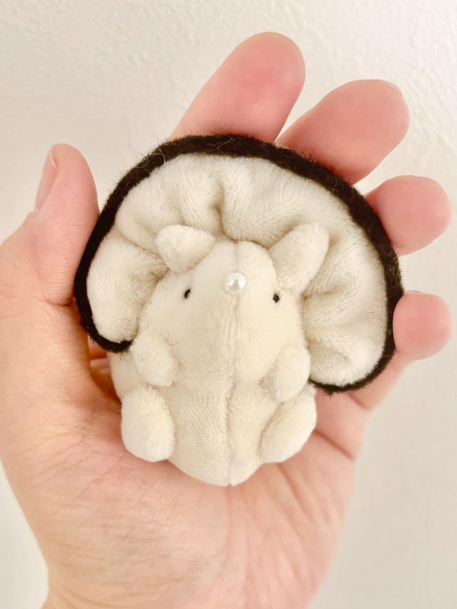 hammy&dacco【4/1〜4/30ニュースタア大阪】 tweet media