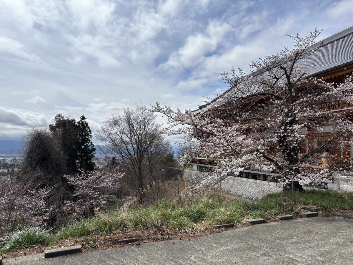 Life(旧ADITL)🇯🇵 tweet media