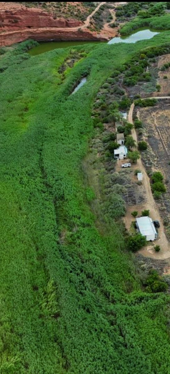 Rory Duncan tweet media