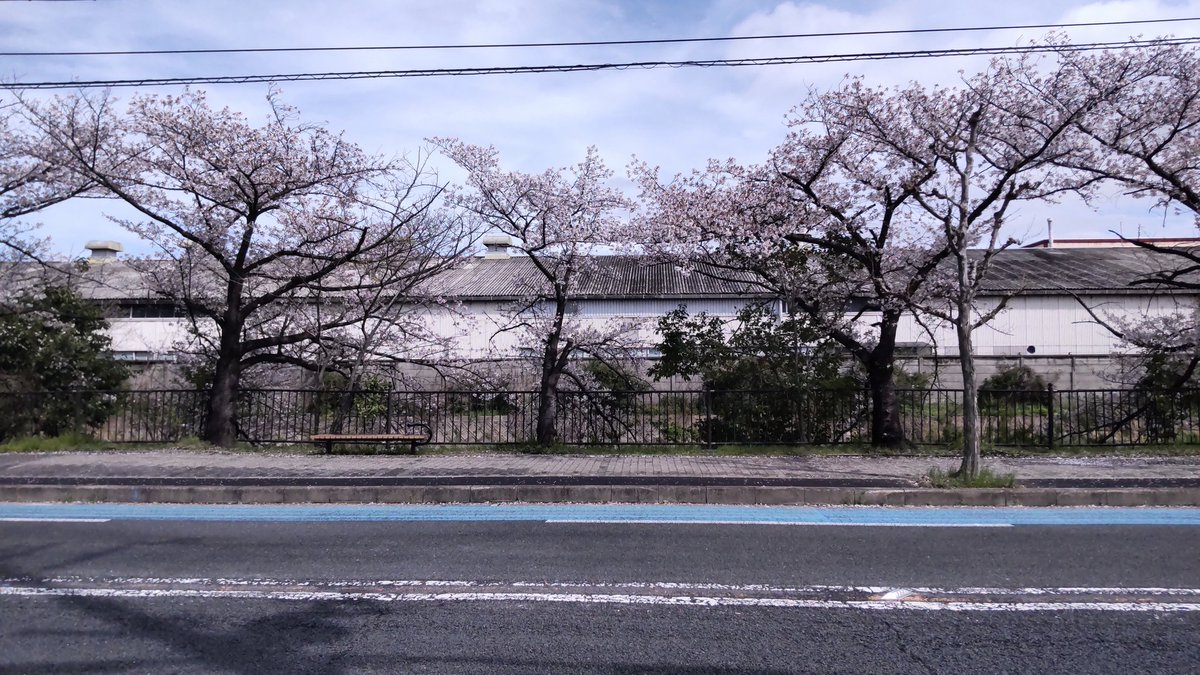 みかづき(Crescent-moon) tweet media