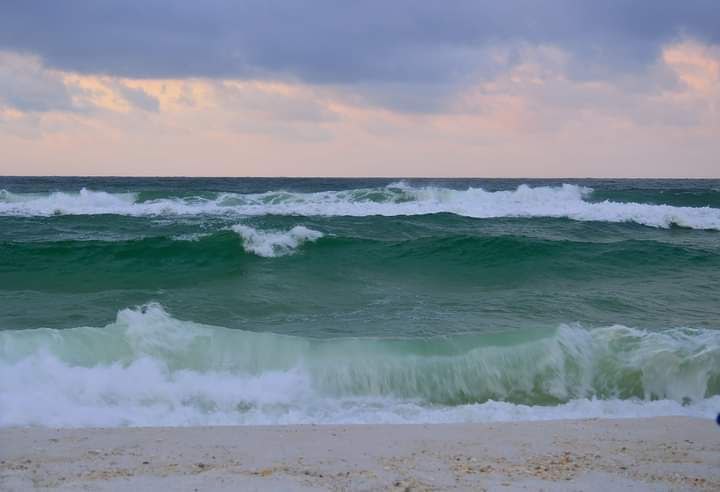 ال̯͡س̯͡ن̯͡اف̯͡ي̯͡ツ(omer) tweet media