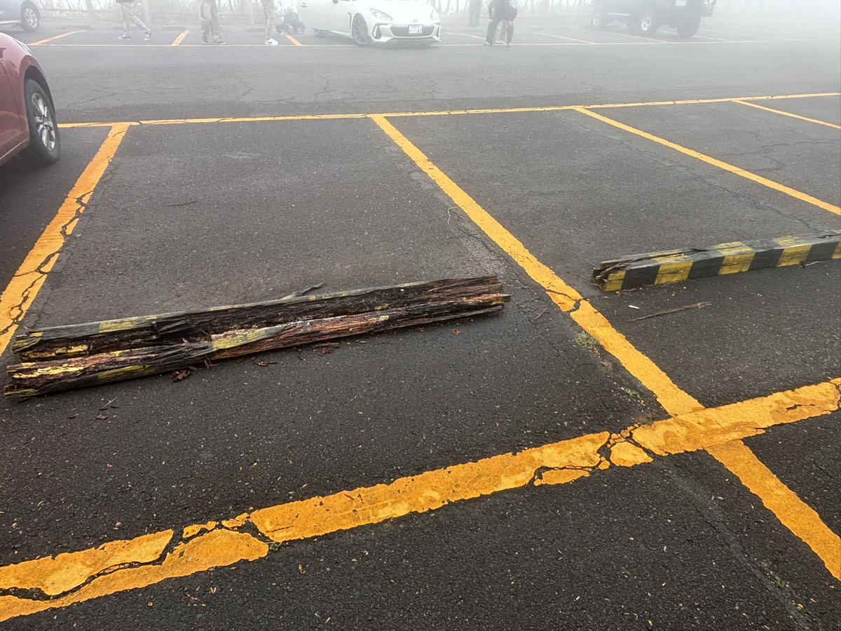 りばてぃの -JTP0688- tweet media