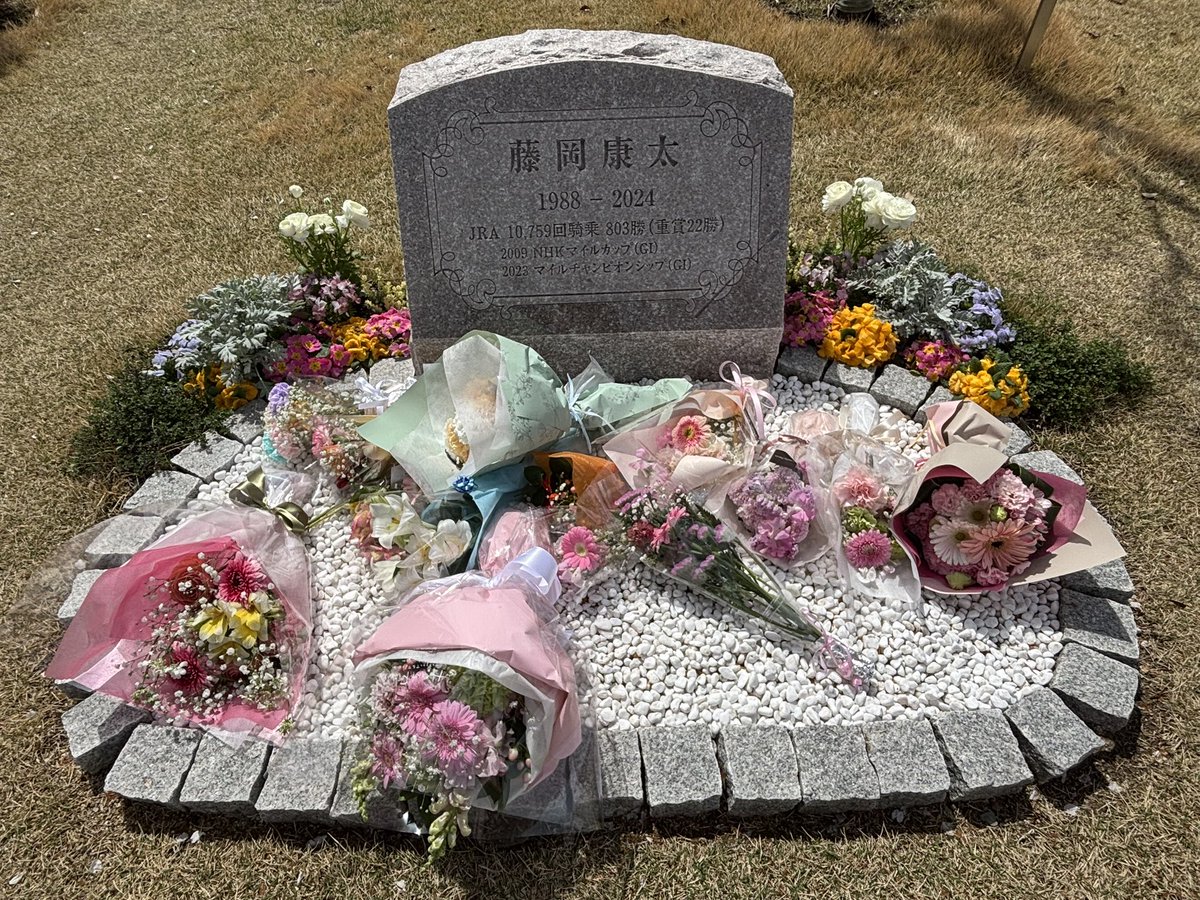 海埜はまなす tweet media