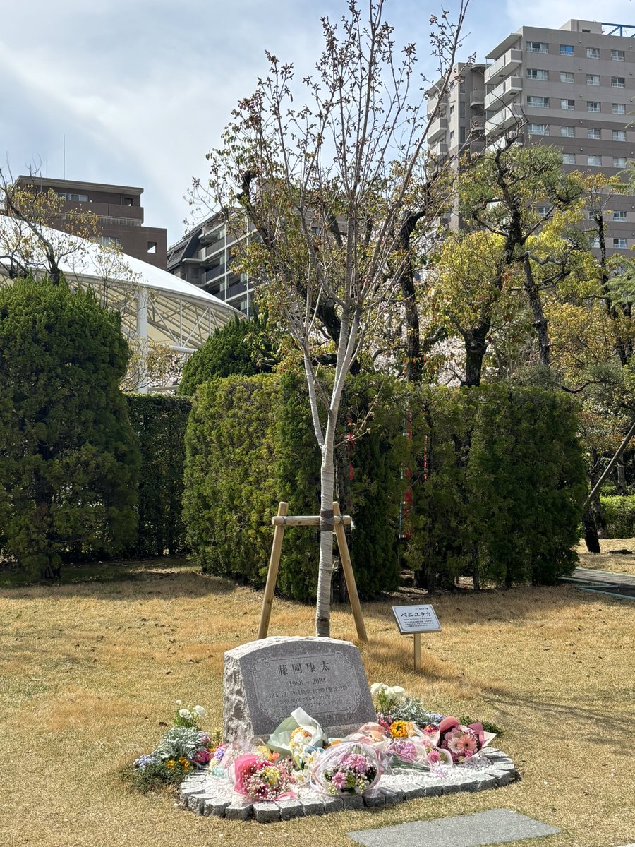 海埜はまなす tweet media