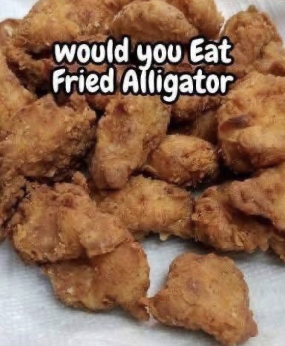 Food Pleaser tweet media