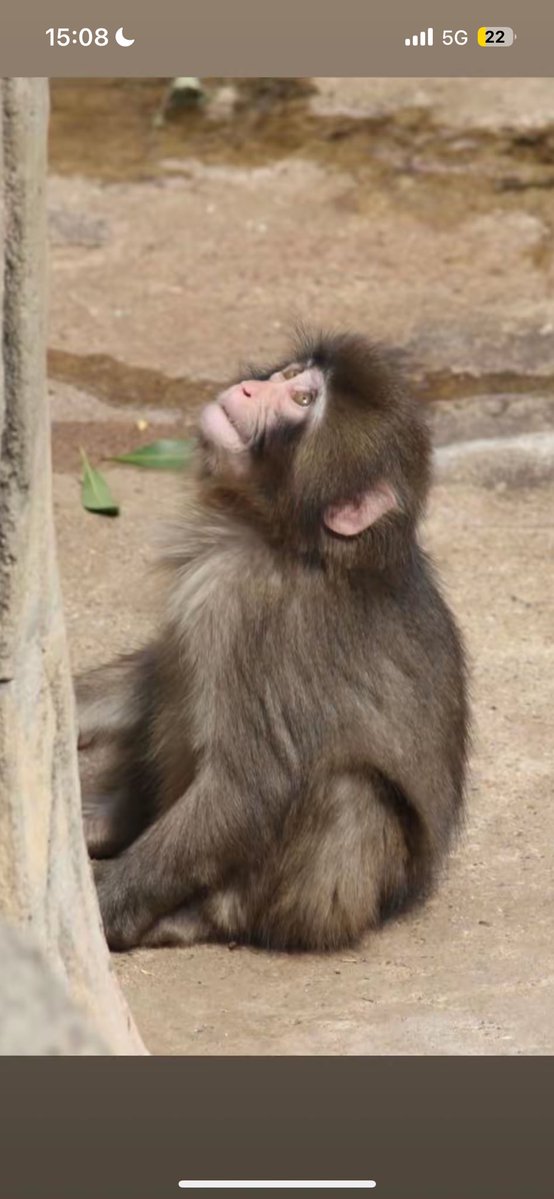 amaani ༄ tweet media