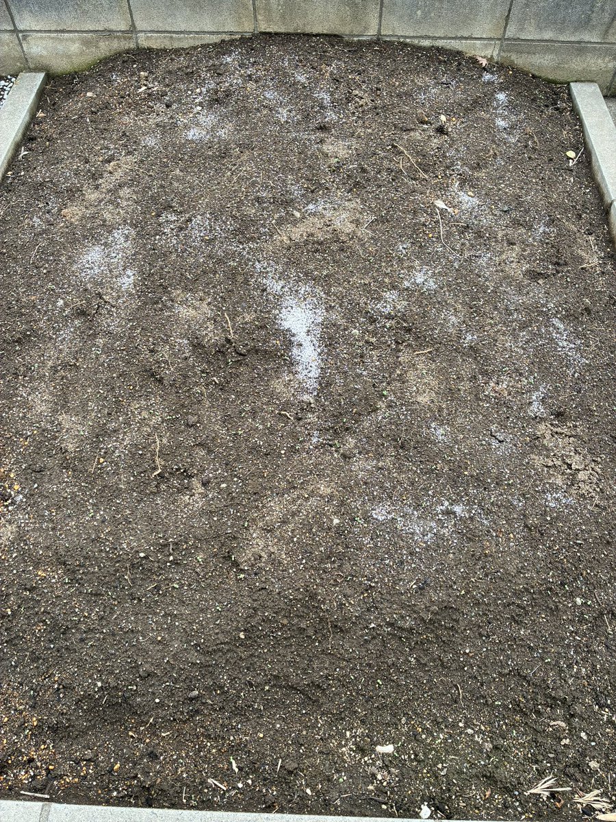 じゅにろう tweet media