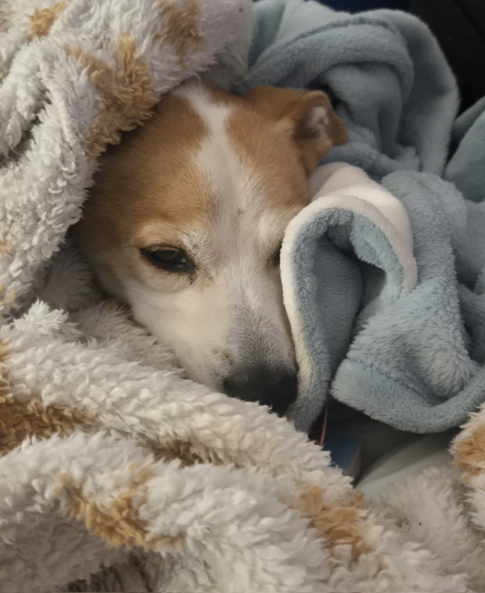 𝐆𝐀𝐈𝐋 ⚡♏🖤🔱 tweet media