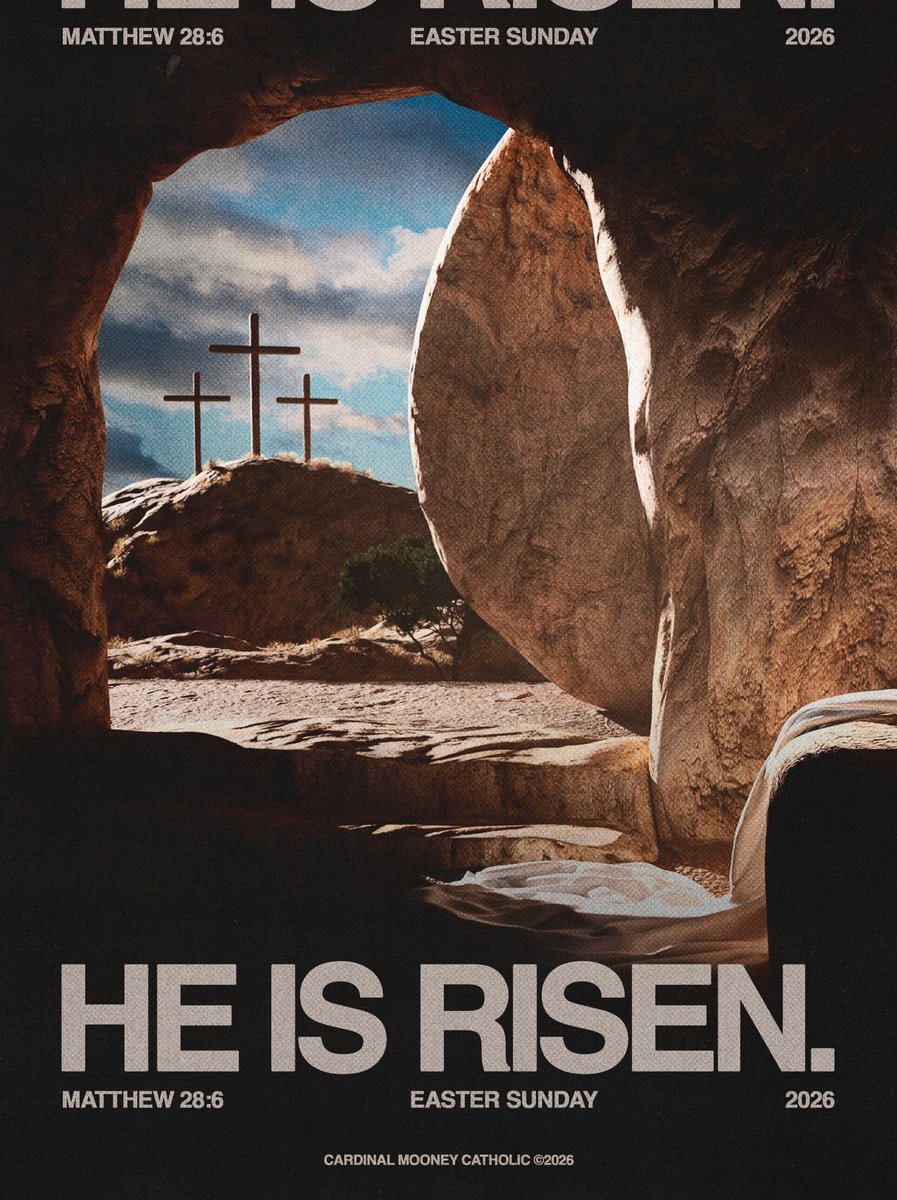 Cardinal Mooney Football tweet media