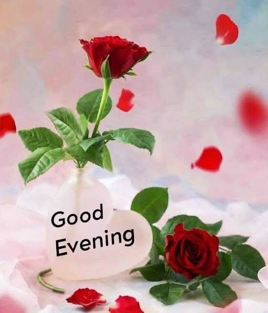 کانچ کی گڑیا 🦋 tweet media