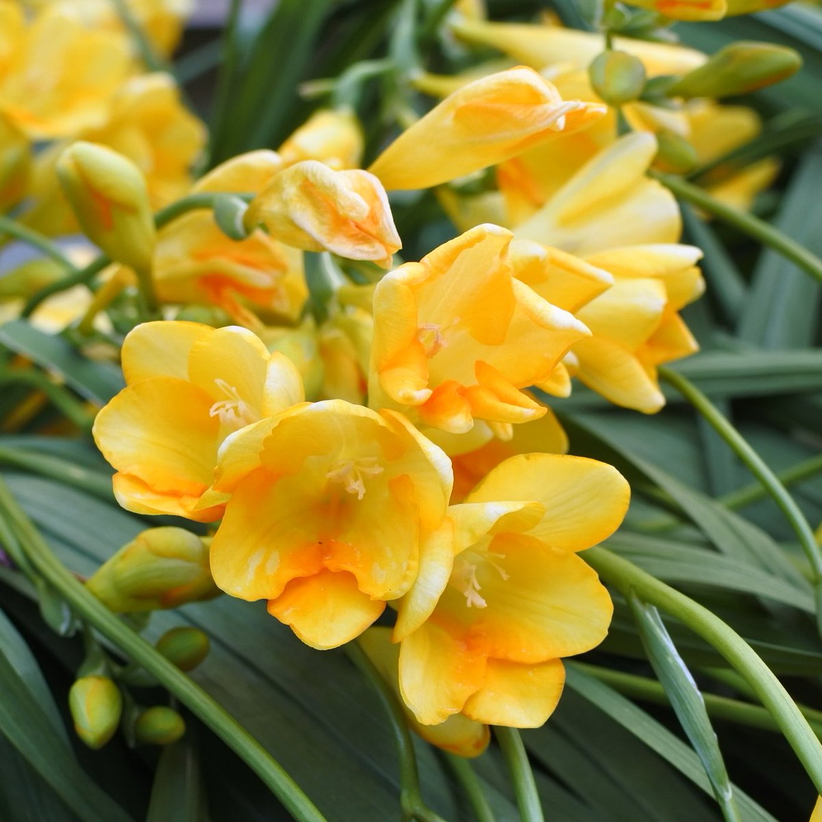 かっちゃん tweet media