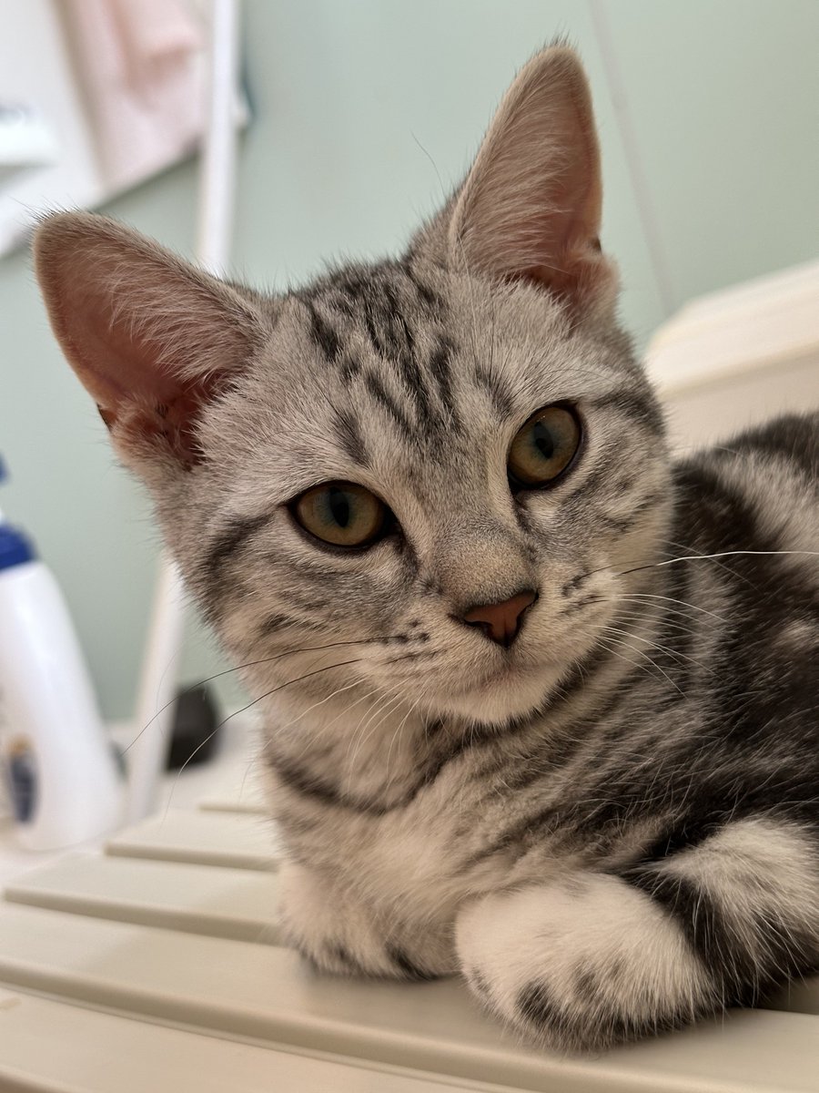 田畑由秋 Tabata Yoshiaki 타바타 요시아키 tweet media