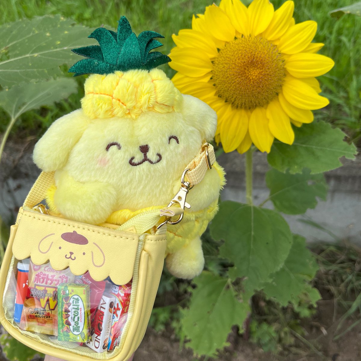 まじかる✩ぷりん tweet media