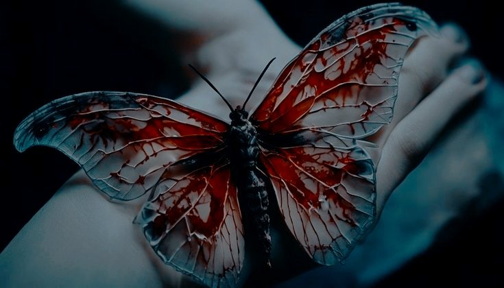 ᅟ ᅟ 𝖘𝐡𝐚𝒅𝐨𝐰 𝖘𝐨𝐫𝒄𝐞𝐫𝐞𝐫. tweet media