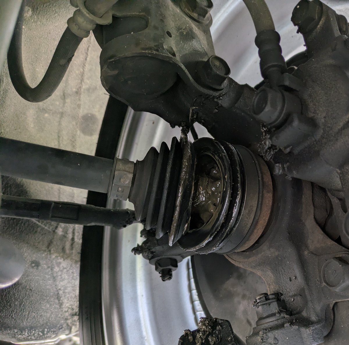 しましま♡ぼあちゃん tweet media